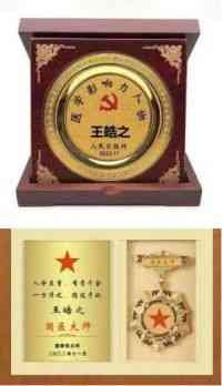 中国当代名医——王皓之