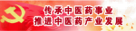 中国著名中医专家——齐生亮