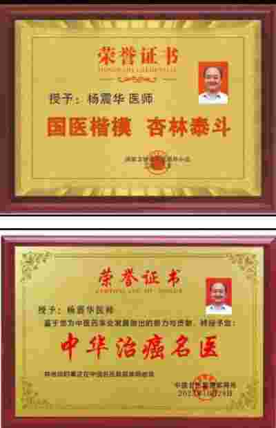 国宝级中医——杨震华