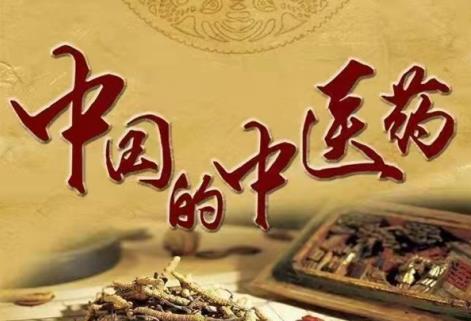 国医名师——赵秀花