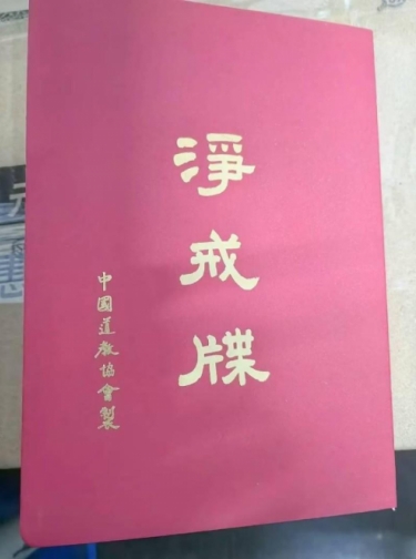 央媒头条 特别报道 易学泰斗——程新宏