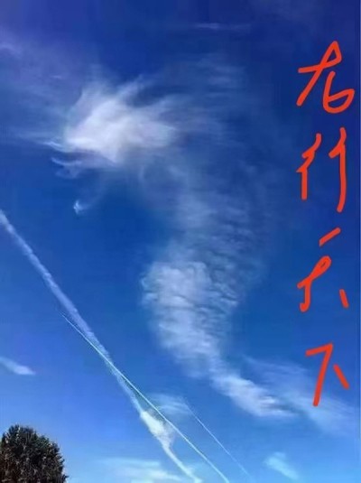 龙耀华夏：解码文明基因，传承千年力量                         威山道人—龙的传人