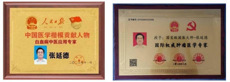 国医圣手耀华夏 仁心济世谱华章