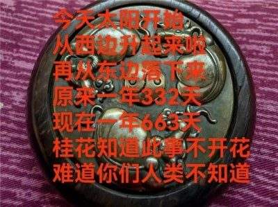 世界中医药联合会 传统医学博士——马忠义院长　