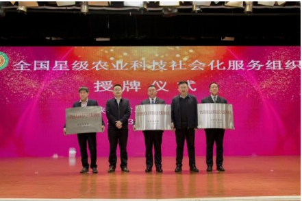庆祝抗日战争胜利80周年 乡村振兴领头雁——思耀国