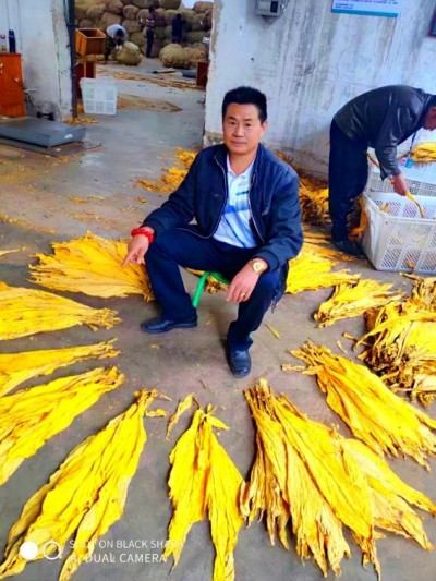 中国著名资深国学专家（风水泰斗）领军人物——徐正林