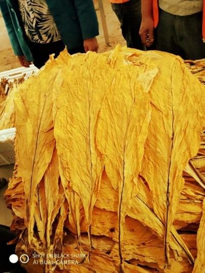 中国著名资深国学专家（风水泰斗）领军人物——徐正林