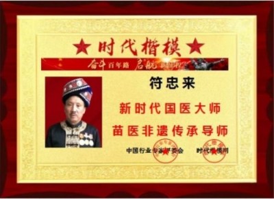 中医名家 国医大师——符忠来