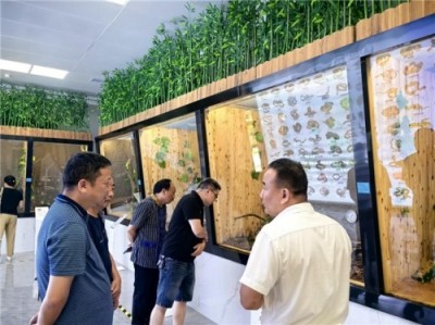 中医名家 国医大师——符忠来