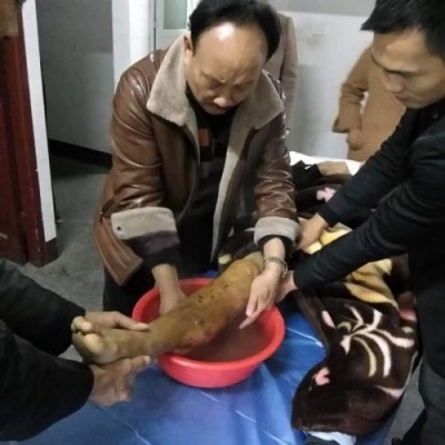 中医名家 国医大师——符忠来