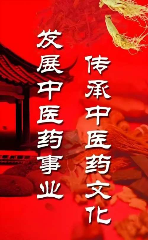 传承中医药文化 金乡县痔瘘研究所所长——戴继杭