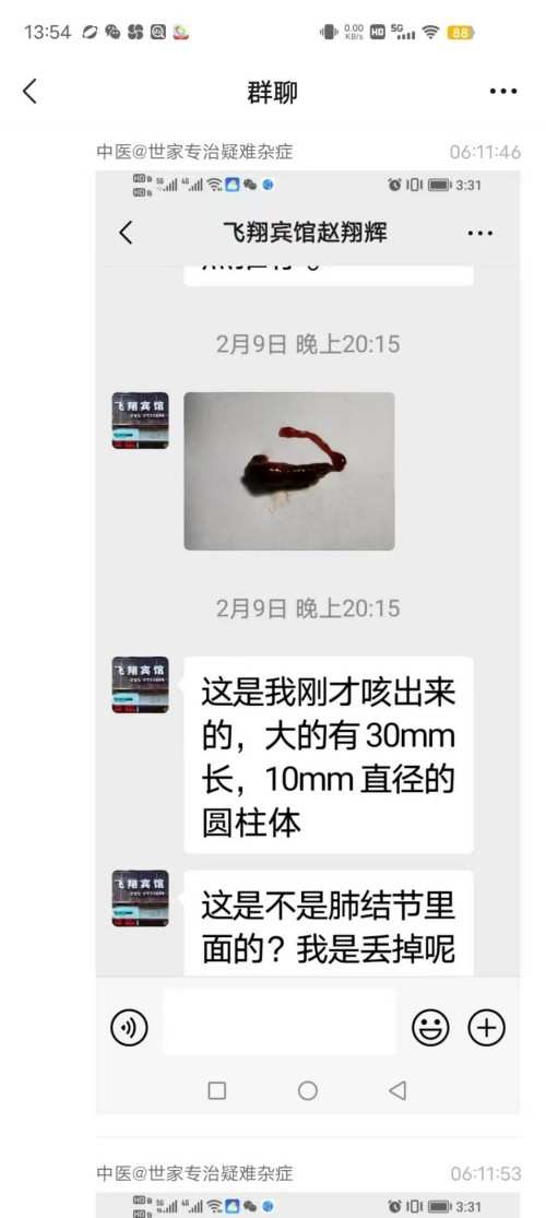 红墙御医胡维勤的传承人——黎化雨