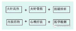 国际 红十字会中国妈妈爱心联盟 ——聚焦“十五五”