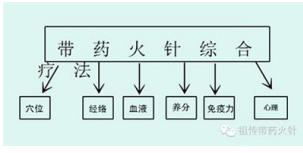 国际 红十字会中国妈妈爱心联盟 ——聚焦“十五五”