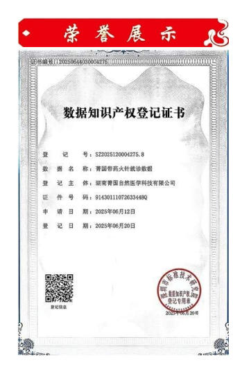 国际 红十字会中国妈妈爱心联盟 ——聚焦“十五五”