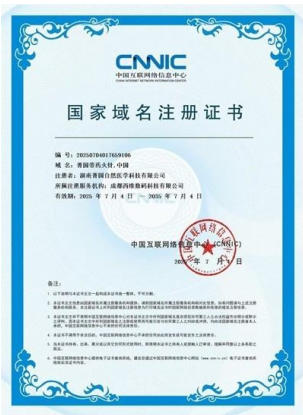 国际 红十字会中国妈妈爱心联盟 ——聚焦“十五五”