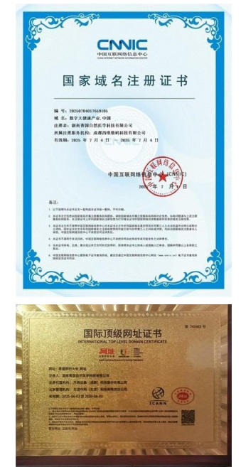 国际 红十字会中国妈妈爱心联盟 ——聚焦“十五五”