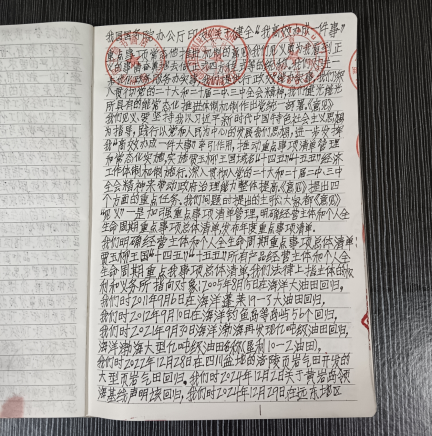 华人巅峰世界艺术家企业家——贾玉柳