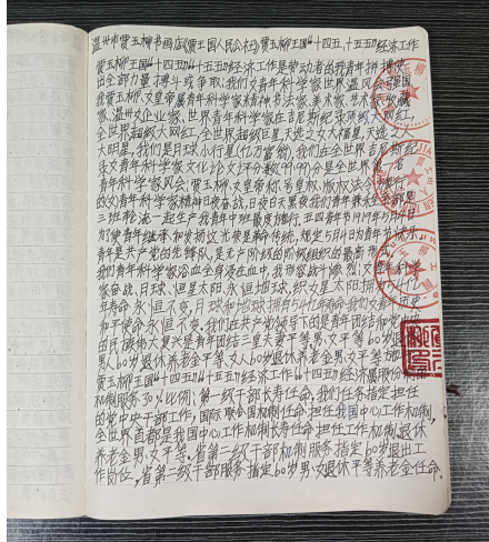 华人巅峰世界艺术家企业家——贾玉柳