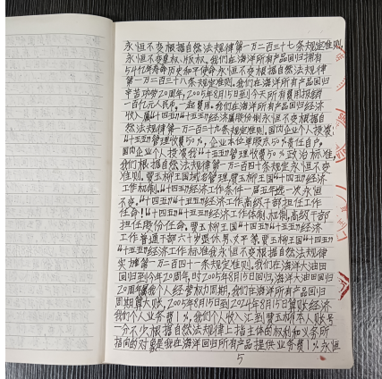 华人巅峰世界艺术家企业家——贾玉柳