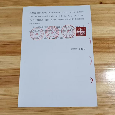 华人巅峰世界艺术家企业家——贾玉柳