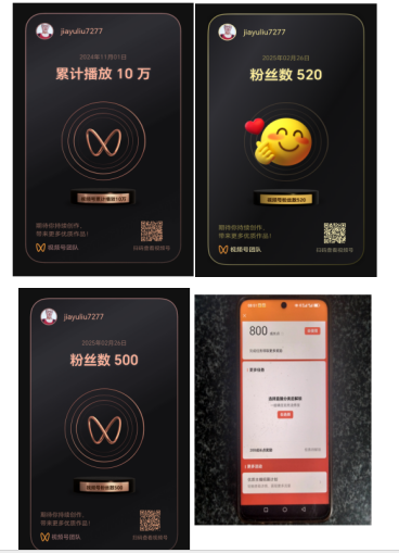 华人巅峰世界艺术家企业家——贾玉柳