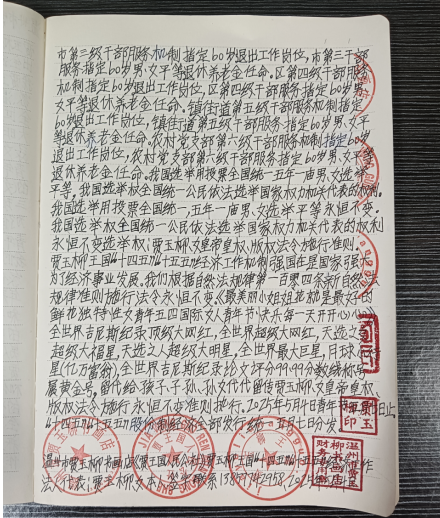 华人巅峰世界艺术家企业家——贾玉柳