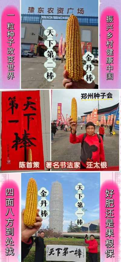 实战农业科学家——刘福信