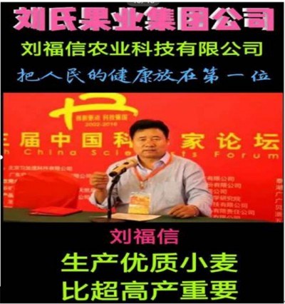 实战农业科学家——刘福信