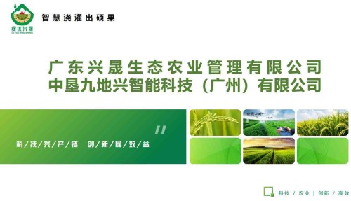 科技育种铸就“去皮黄金”，广东农科院基因引擎驱动英德麻竹笋产业冲向百亿级