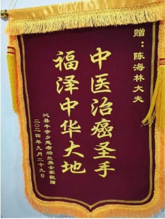 陈海林教授三焦气化法：开创乳腺癌治疗新路径
