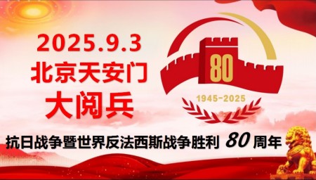 庆祝抗日战争胜利80周年 易学名家——杨振研