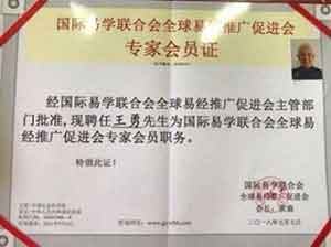 中国周易专家委员会副会长——王 勇