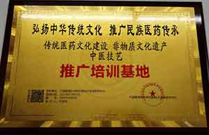 【2024年全国两会献礼】 知名中医博士——农宏珠