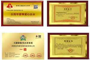 听党话，跟党走，做一个雷锋那样的人
