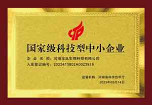 听党话，跟党走，做一个雷锋那样的人