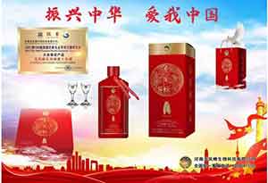 听党话，跟党走，做一个雷锋那样的人