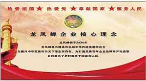 听党话，跟党走，做一个雷锋那样的人