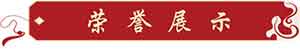 中国著名中医——曹忠民