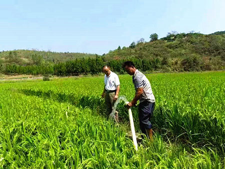 湖南新田：驻村工作队引水抗旱保丰收